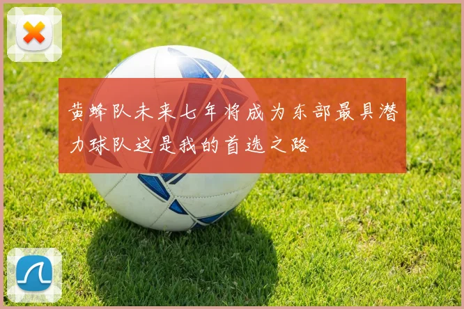 黄蜂队未来七年将成为东部最具潜力球队这是我的首选之路