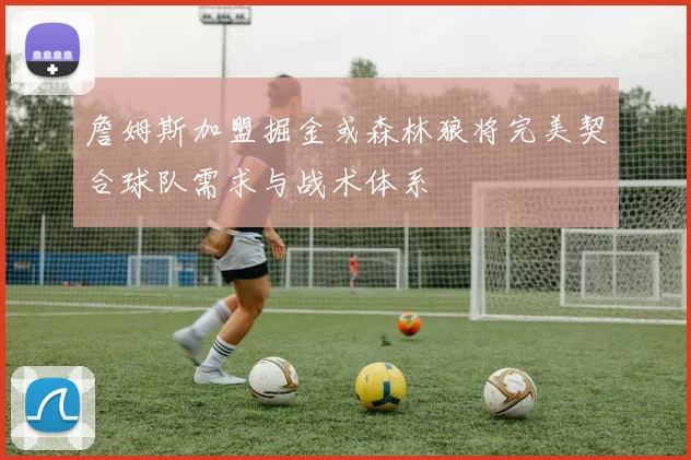詹姆斯加盟掘金或森林狼将完美契合球队需求与战术体系