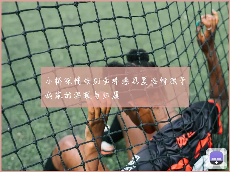 小桥深情告别黄蜂感恩夏洛特赋予我家的温暖与归属