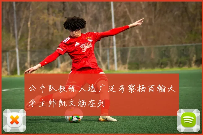 公牛队教练人选广泛考察杨百翰大学主帅凯文杨在列